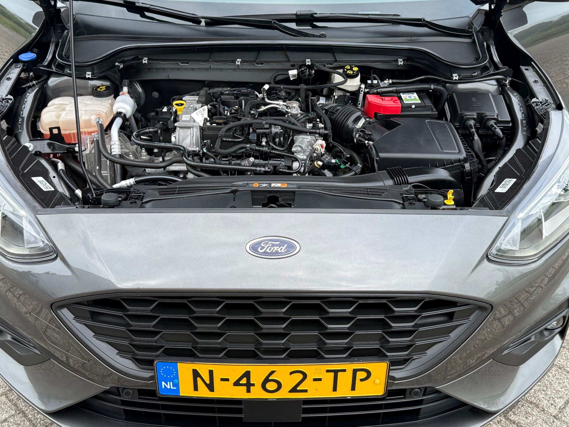 46471070-37.jpg