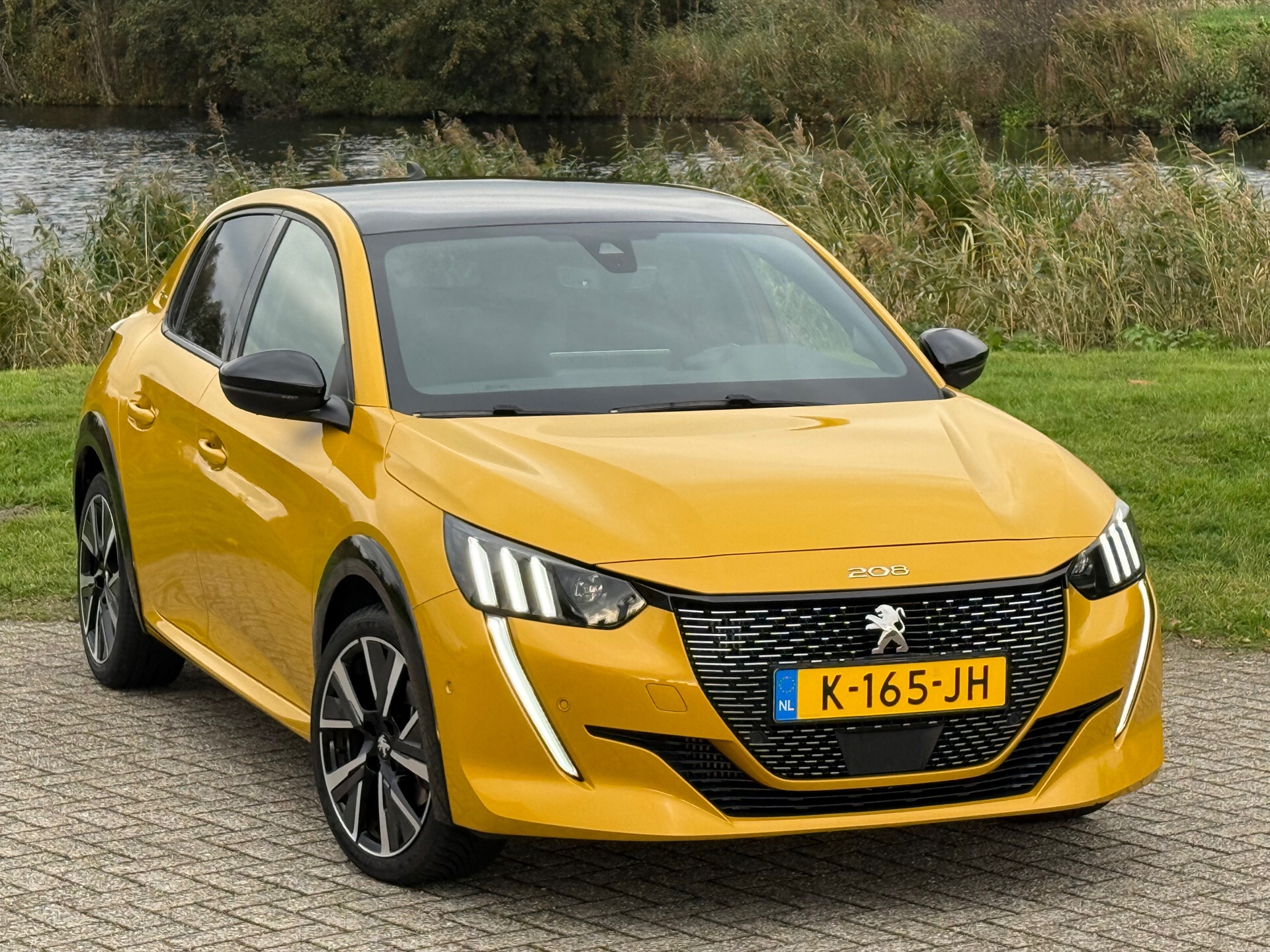 48551775-28.jpg