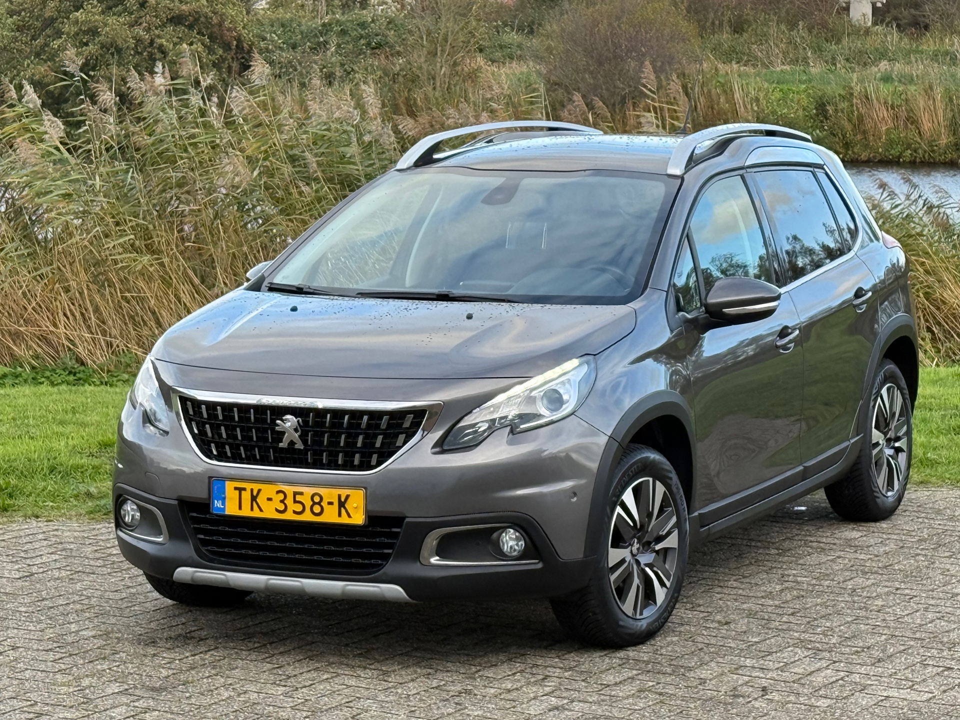 48554881-29.jpg