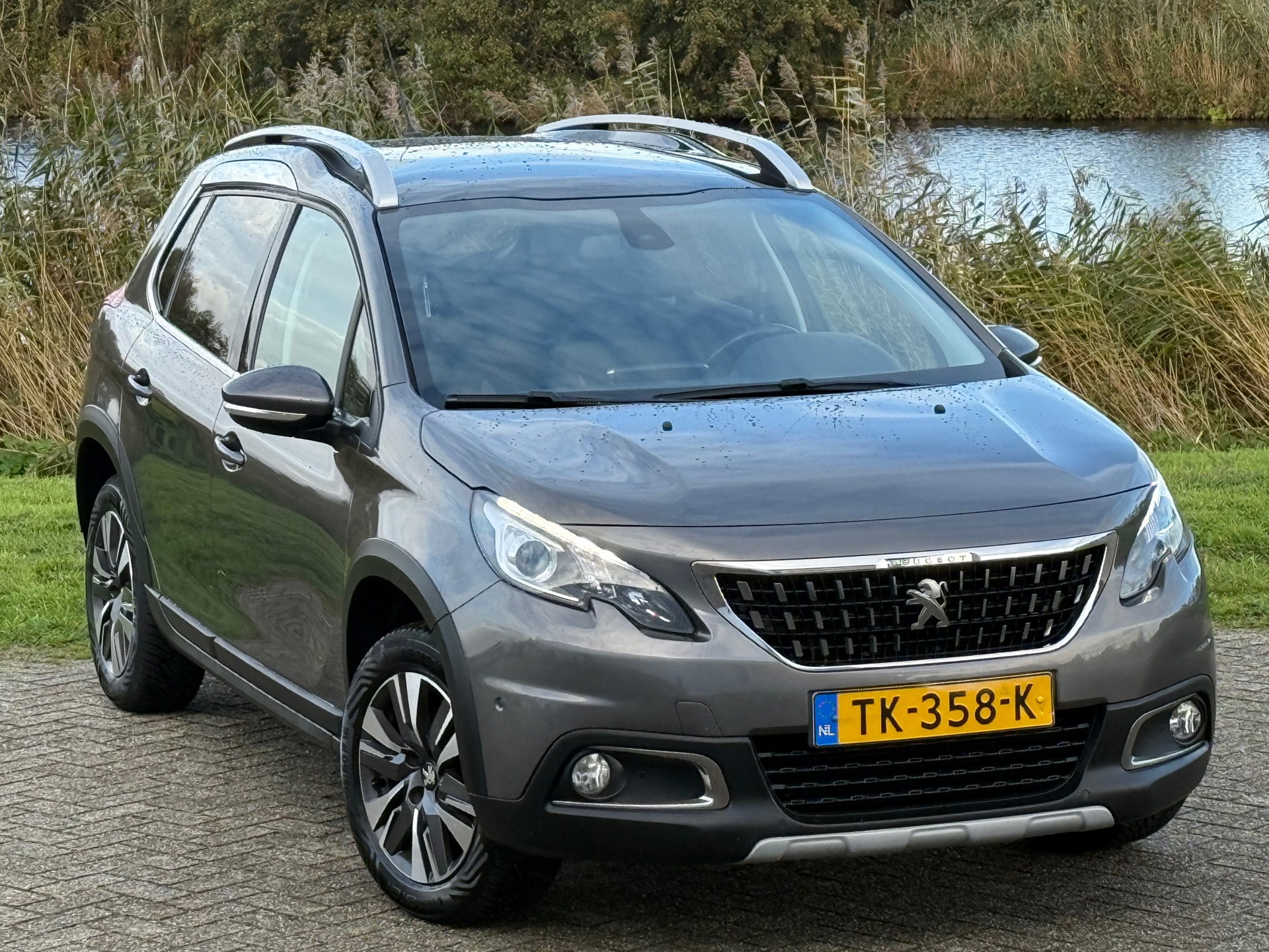 48554881-31.jpg