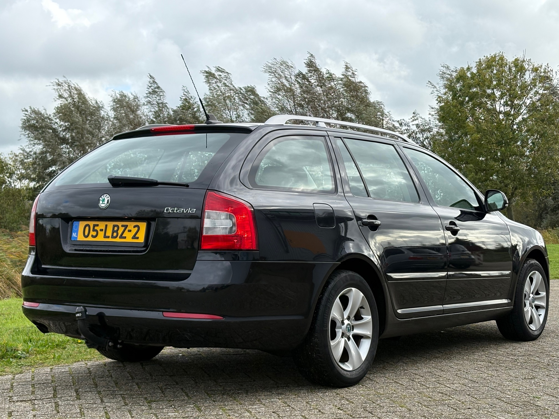 48556997-8.jpg