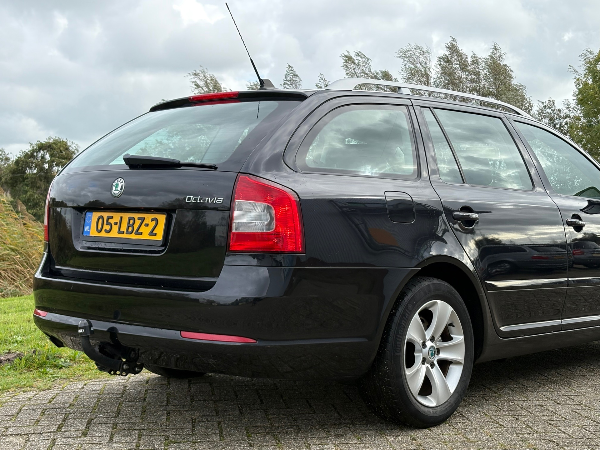 48556997-9.jpg