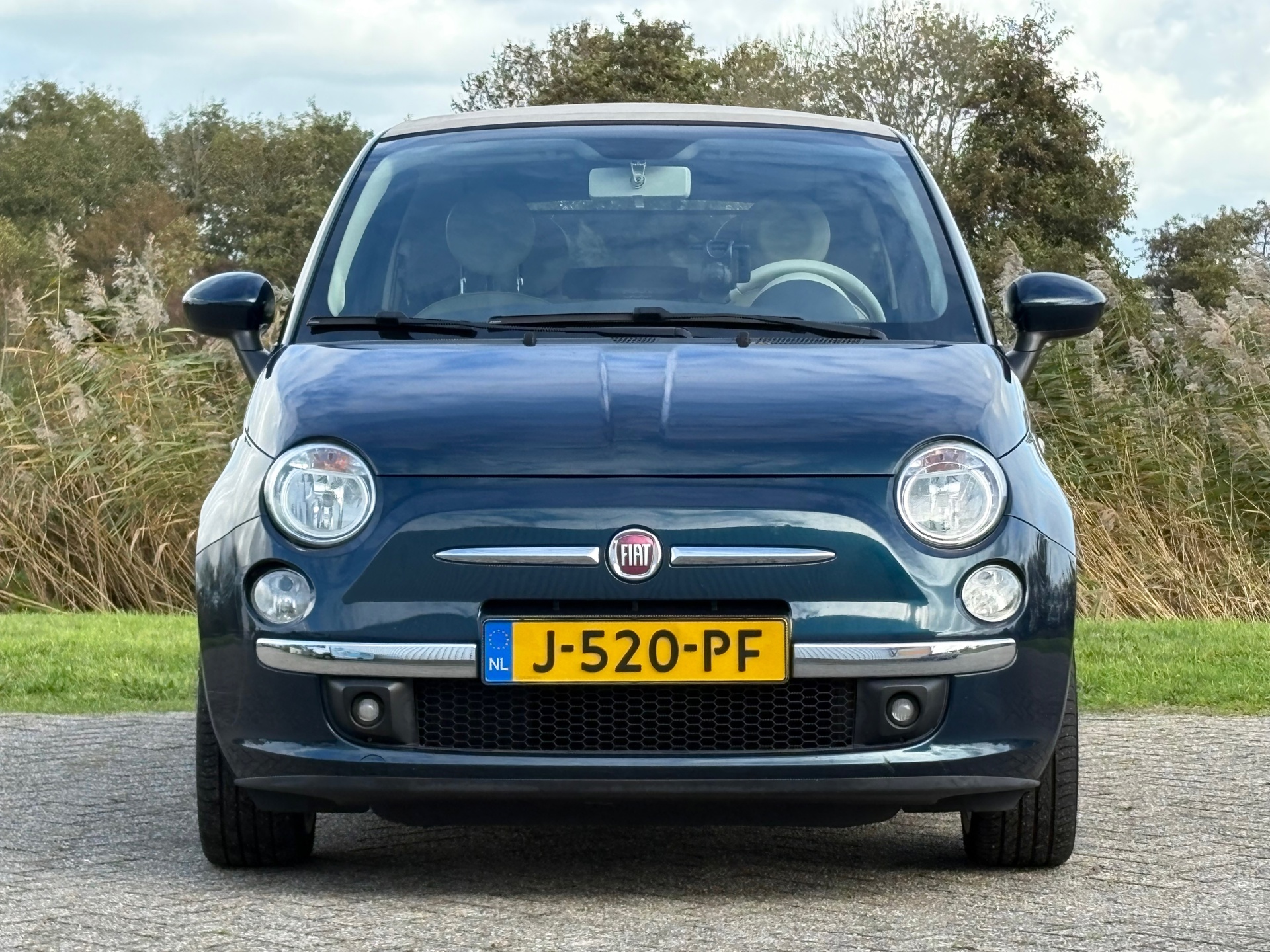 48612252-16.jpg