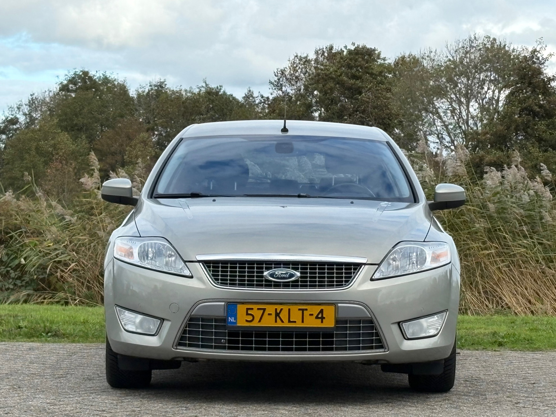 48613033-17.jpg