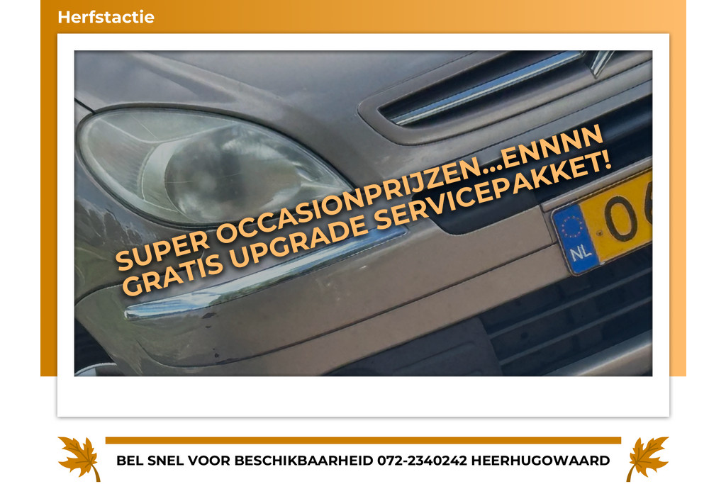 52955319